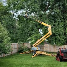 Best Leaf Removal  in Iyanbito, NM